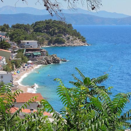 Vila Mila Mare Drasnice Kültér fotó